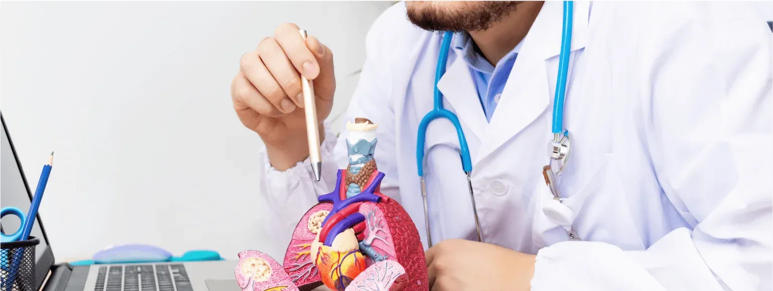 Endocrinology Internship Opportunities R Endocrinology